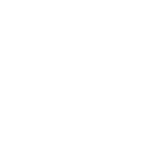 icono_car accident