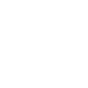icono_personal injury